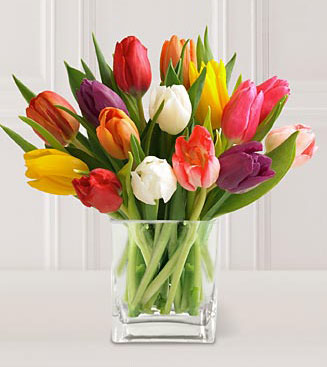 15 Stem Mixed Tulips