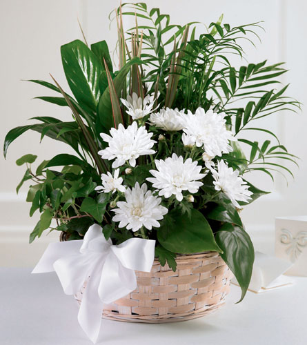 Peaceful Garden Basket