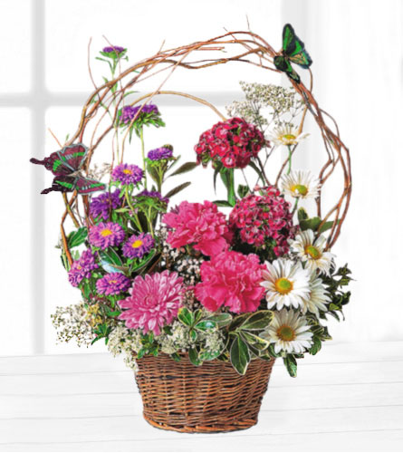 Touch of Butterflies Basket